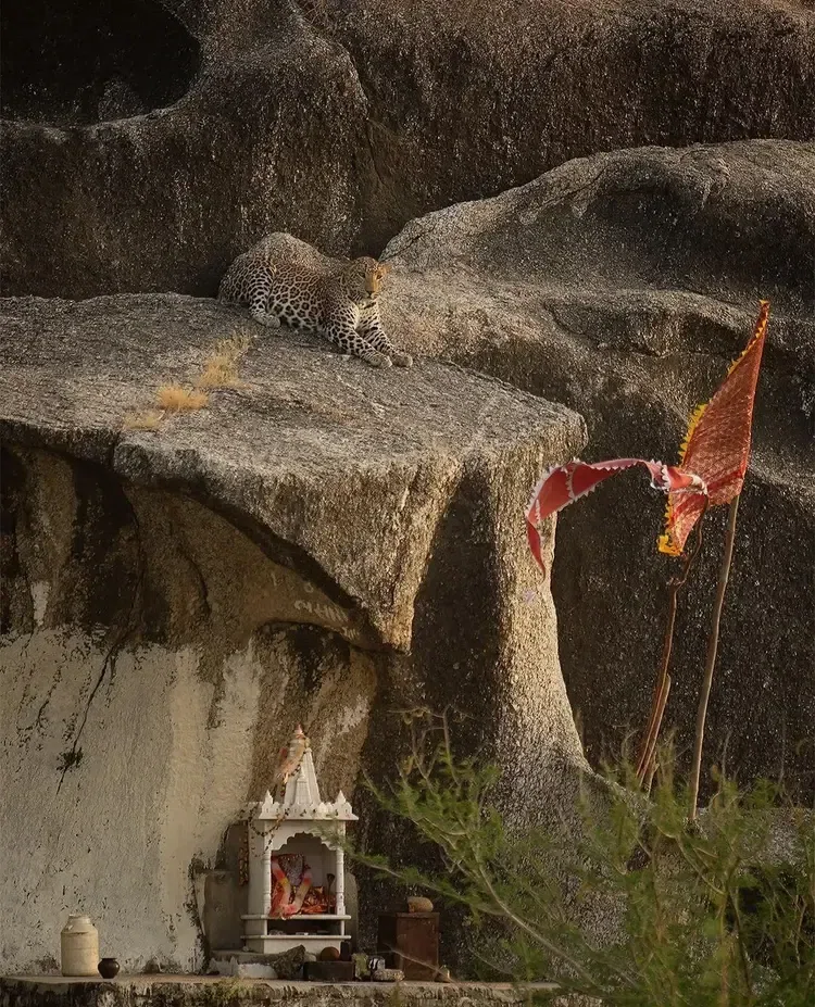 Dharma Sarvopari