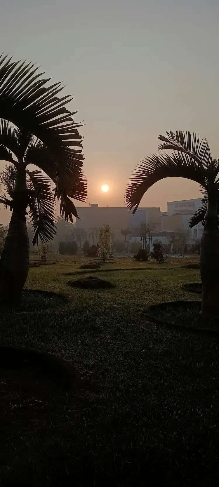 Surya dev ki jai ho!!