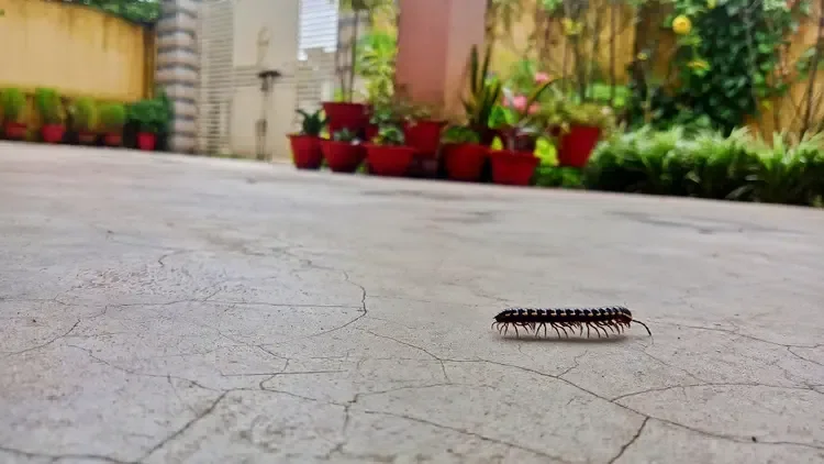 pata nahi kis roop me aakar narayan mil jayenge ....